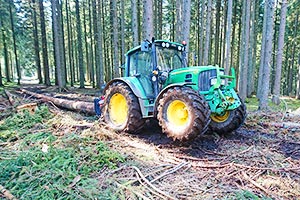 Der Bauer bei der Waldarbeit