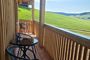 Balkon mit herrlichem Ausblick in Richtung Schollach