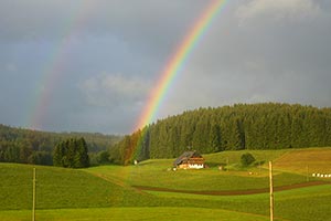 Regenbogen