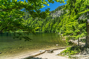 Feldsee (c) Hochschwarzwaldtourismus GmbH